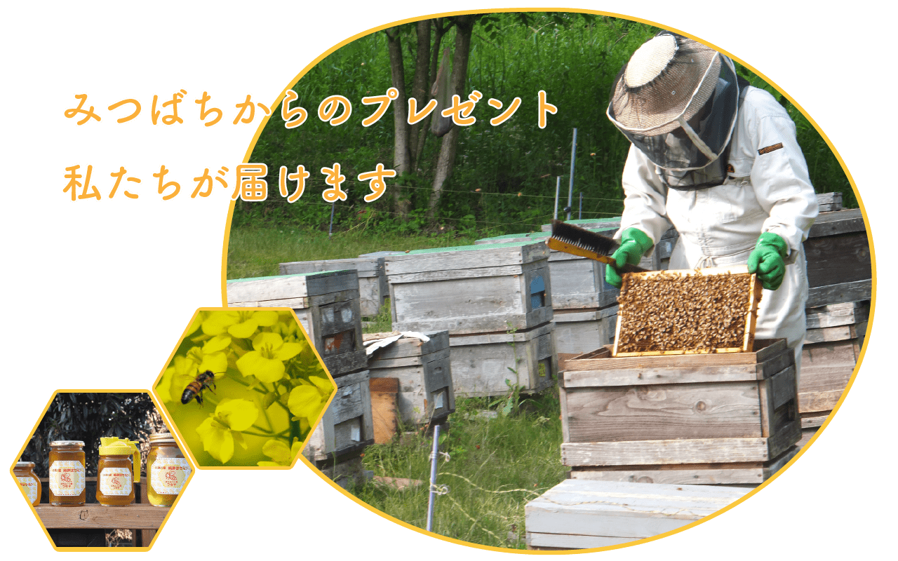 ミツバチからのプレゼント　私たちが届けます